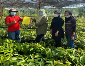 UPM IN PLANT MATERIAL VERIFICATION SCHEME, DEPARTMENT OF AGRICULTURE MALAYSIA